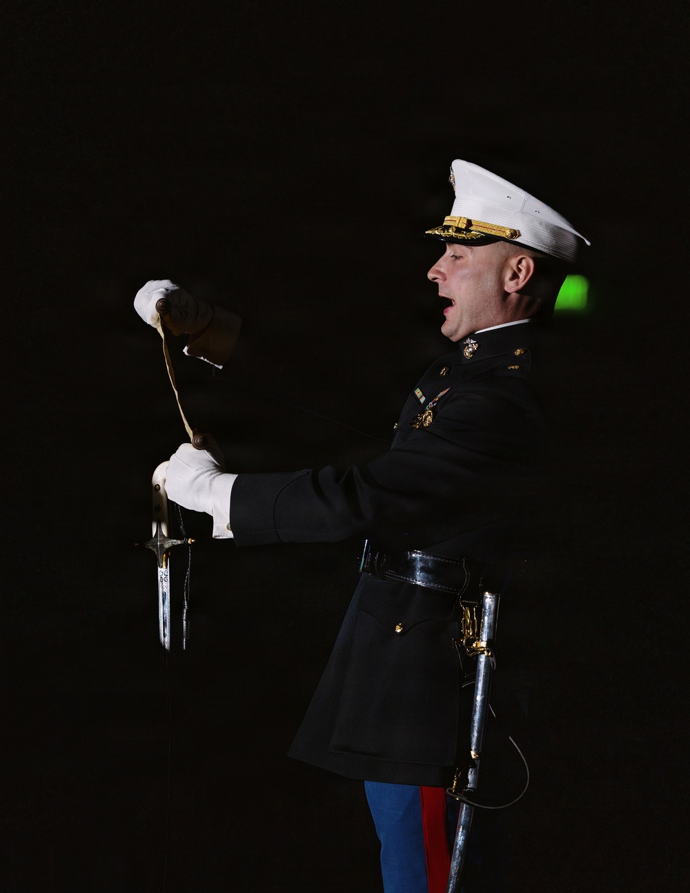 I MEF 250th Marine Corps Birthday Ball