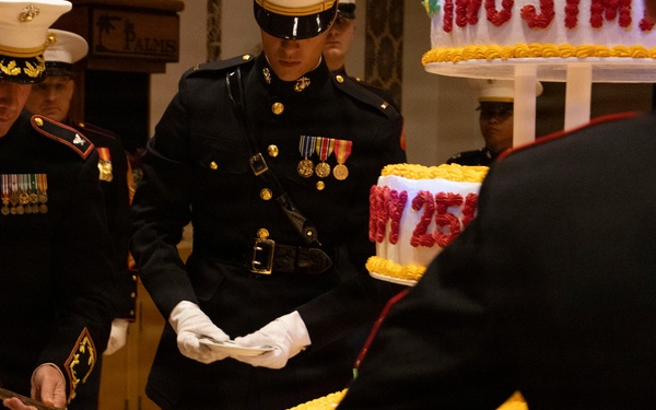 31st MEU | 31st MEU holds 250th Marine Corps Ball