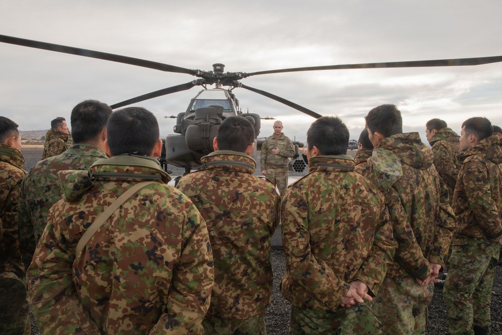 16th CAB shows the Japanese Ground Self-Defense Force AH-64 Apaches