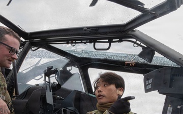 16th CAB shows the Japanese Ground Self-Defense Force AH-64 Apaches