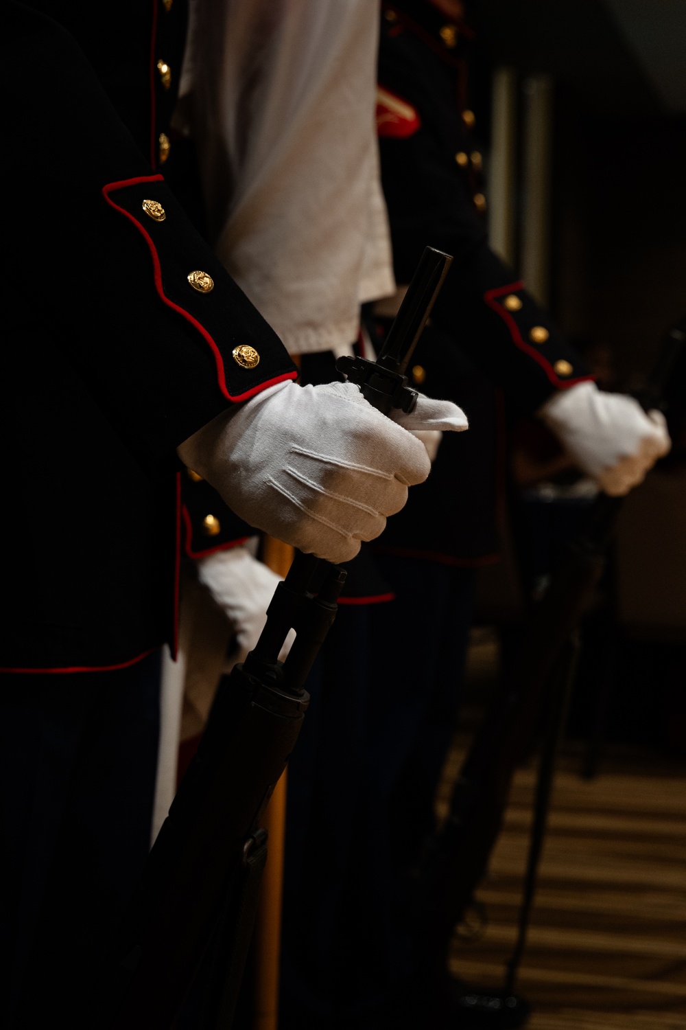 5th Air Naval Gunfire Liaison Company celebrates the 250th Marine Corps Birthday