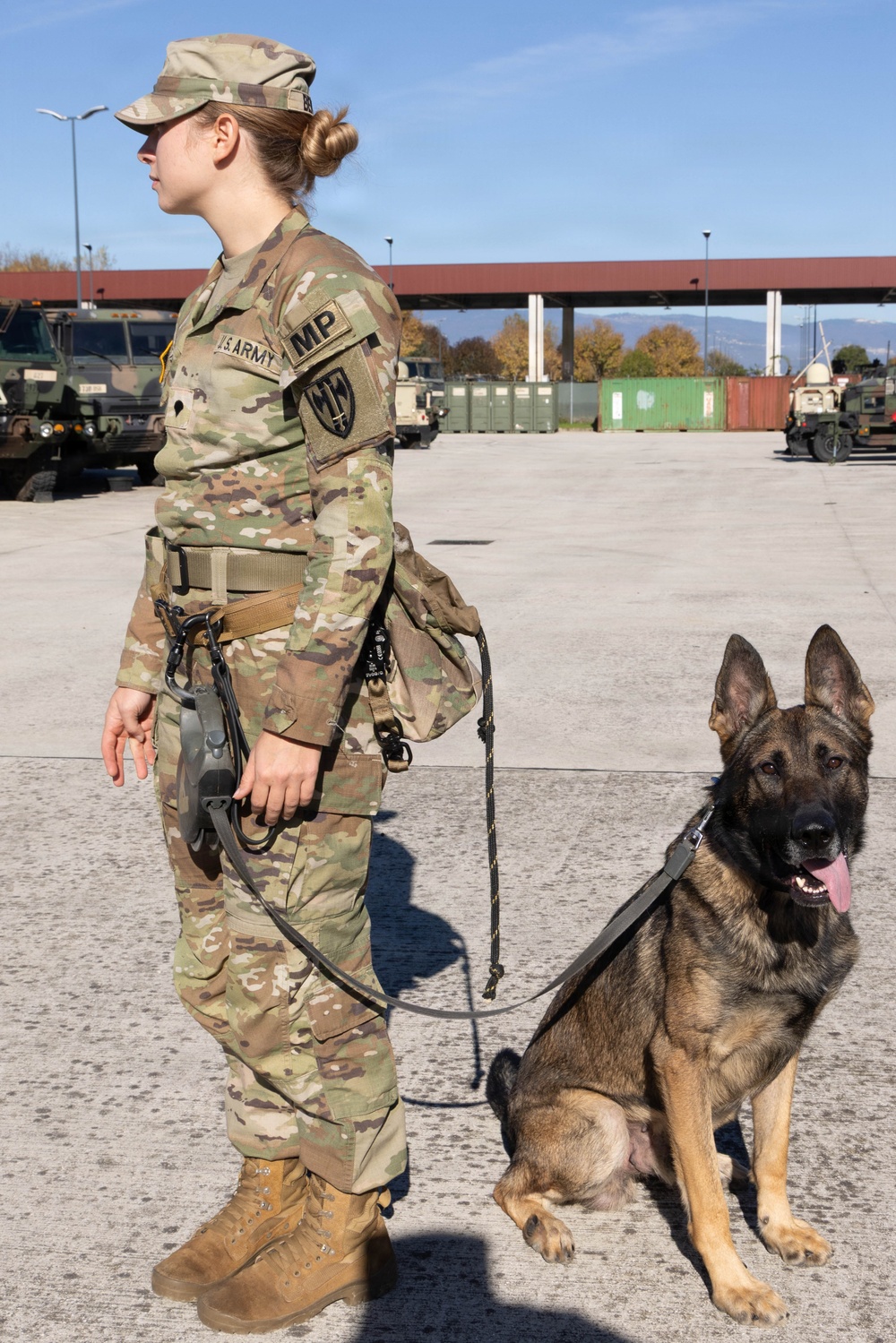 Unleashing potential: military working dogs benefit from holistic health, fitness