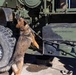 Unleashing potential: military working dogs benefit from holistic health, fitness