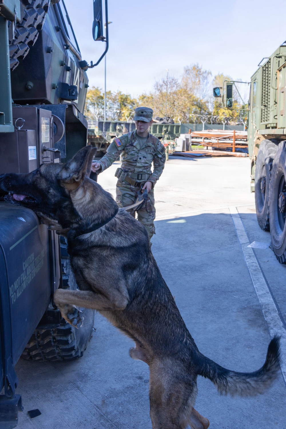 Unleashing potential: military working dogs benefit from holistic health, fitness