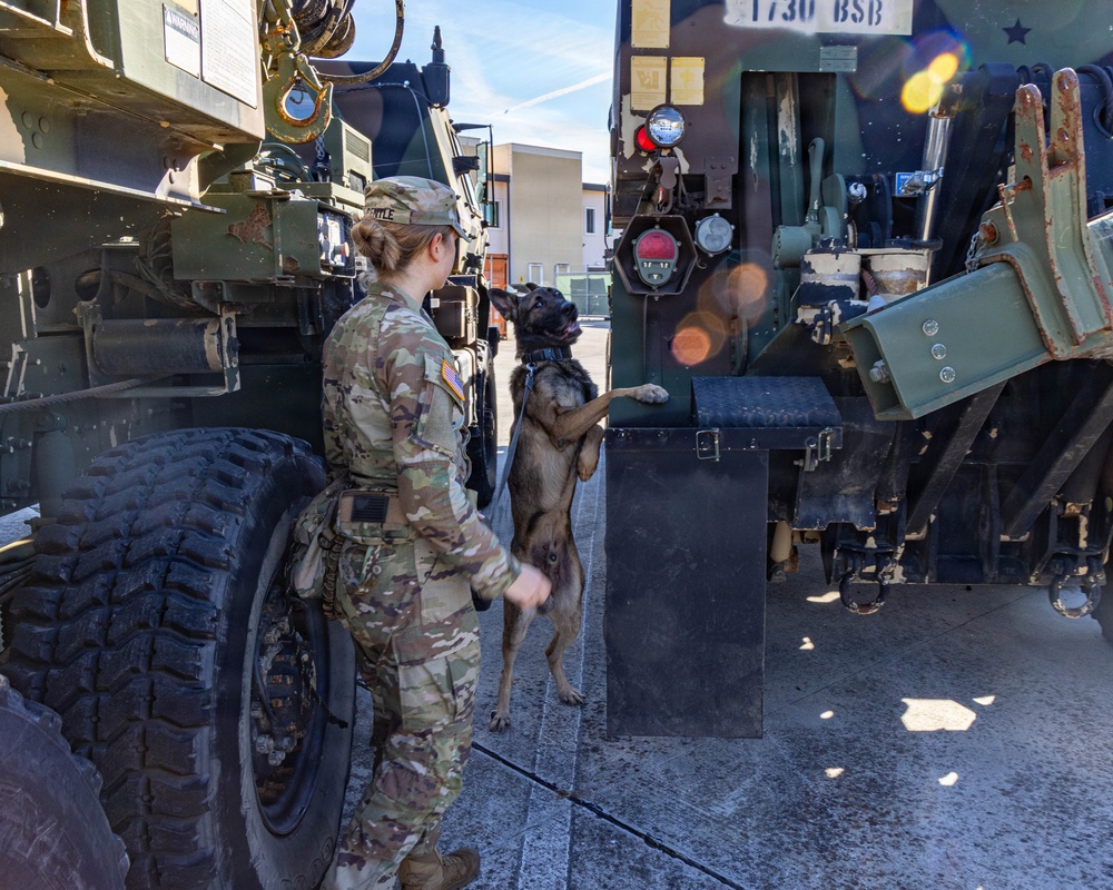 Unleashing potential: military working dogs benefit from holistic health, fitness