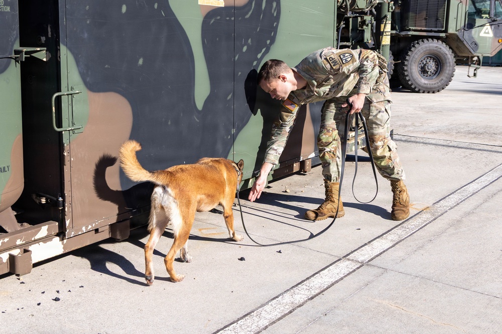 Unleashing potential: military working dogs benefit from holistic health, fitness