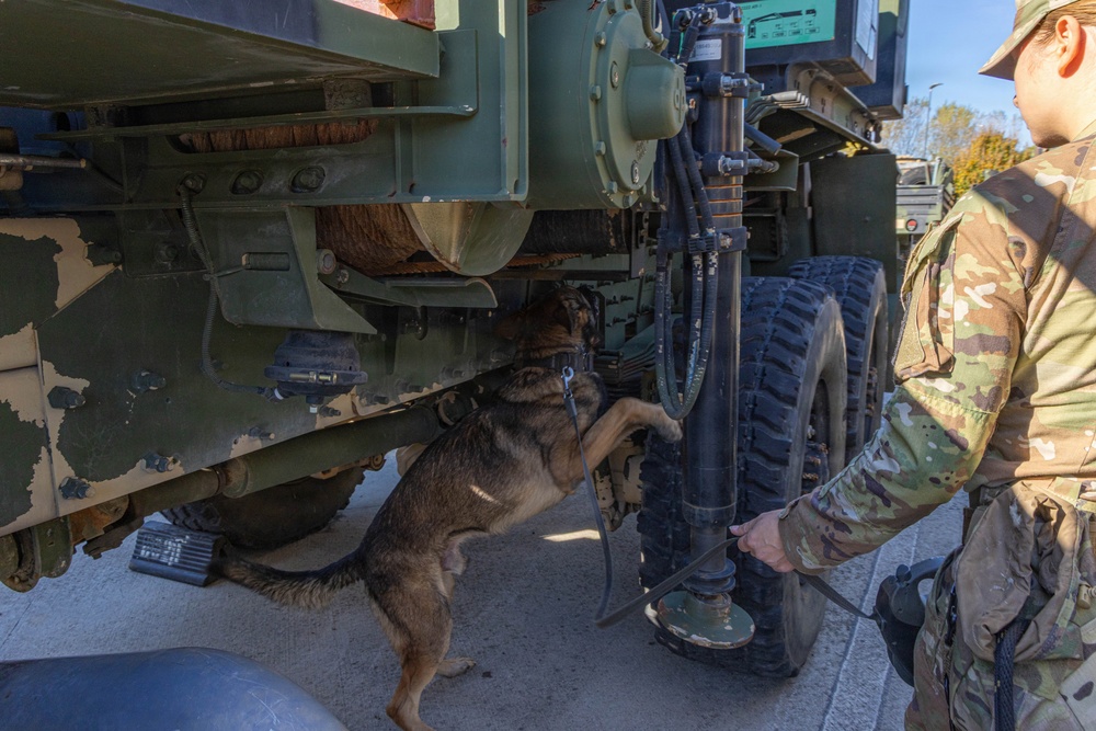 Unleashing potential: military working dogs benefit from holistic health, fitness