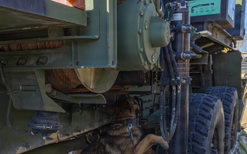 Unleashing potential: military working dogs benefit from holistic health, fitness