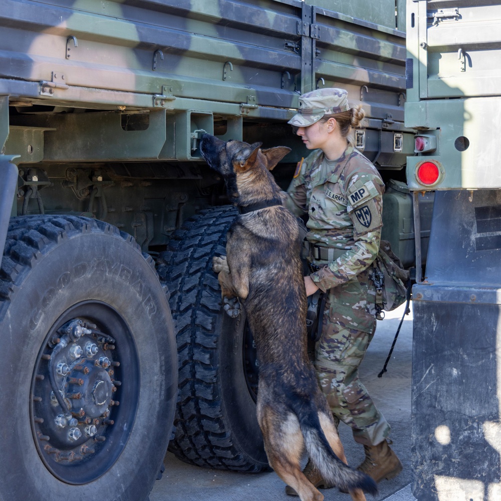 Unleashing potential: military working dogs benefit from holistic health, fitness