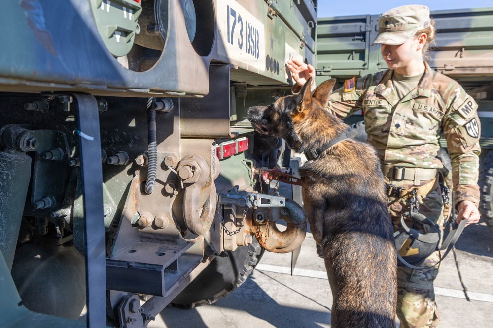 Unleashing potential: military working dogs benefit from holistic health, fitness
