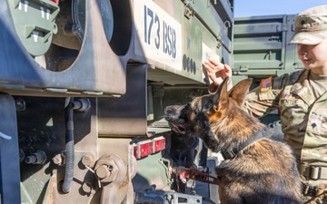 Unleashing potential: military working dogs benefit from holistic health, fitness