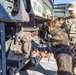 Unleashing potential: military working dogs benefit from holistic health, fitness