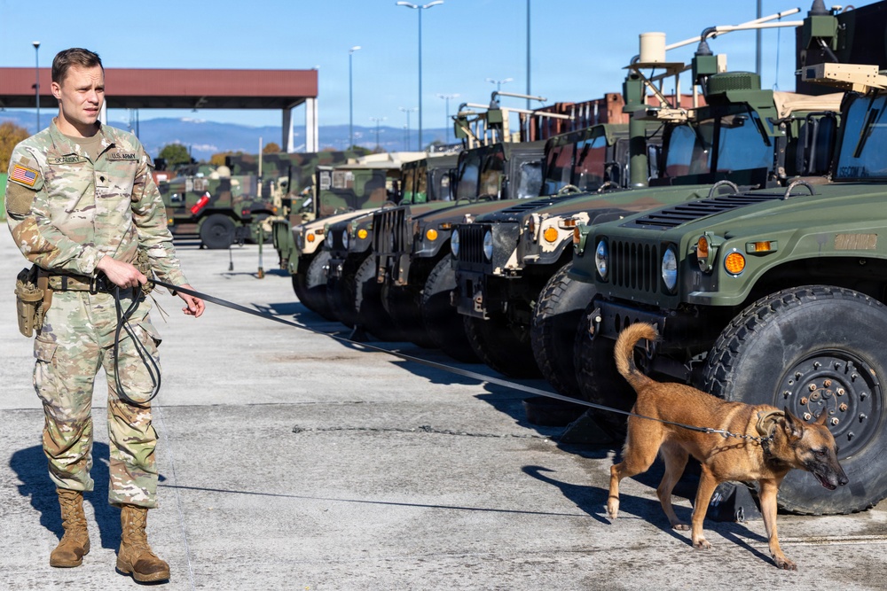 Unleashing potential: military working dogs benefit from holistic health, fitness