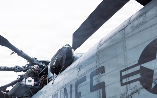 Condors of MCAS New River