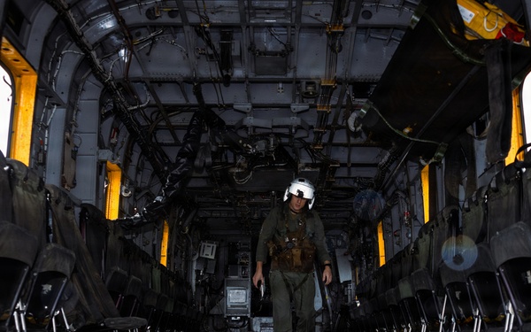 Condors of MCAS New River