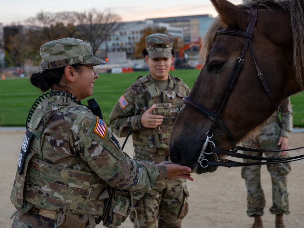 Soldiers provide a presence patrol in Georgetown and the National Mall