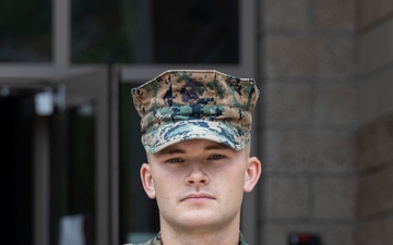 The Backbone of OCS III