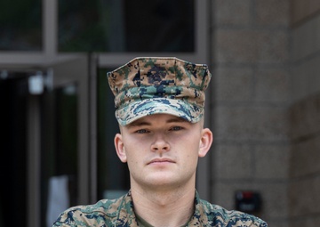 The Backbone of OCS III