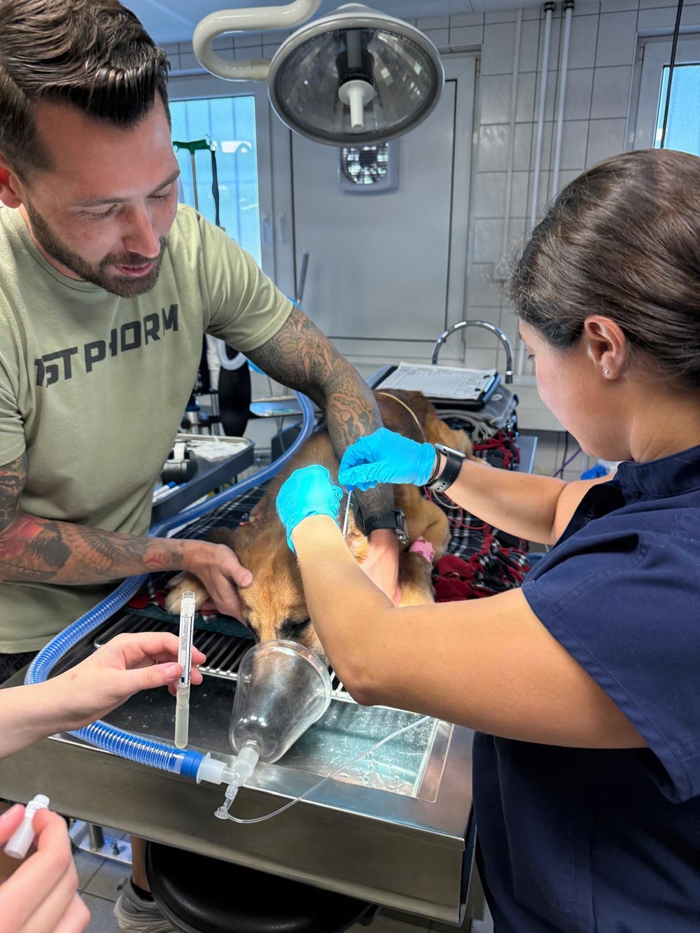 Operational Collaboration Effort Between WRAIR-EME and VMCE on AMR Surveillance in U.S. MWDs