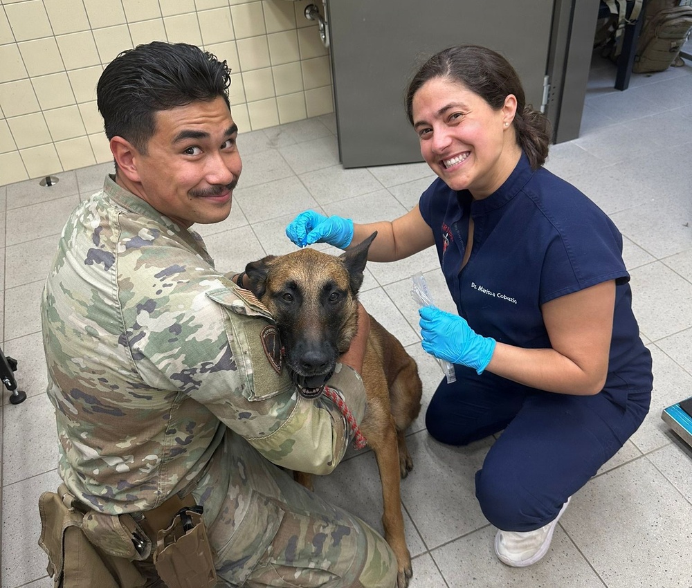 Operational Collaboration Effort Between WRAIR-EME and VMCE on AMR Surveillance in U.S. MWDs