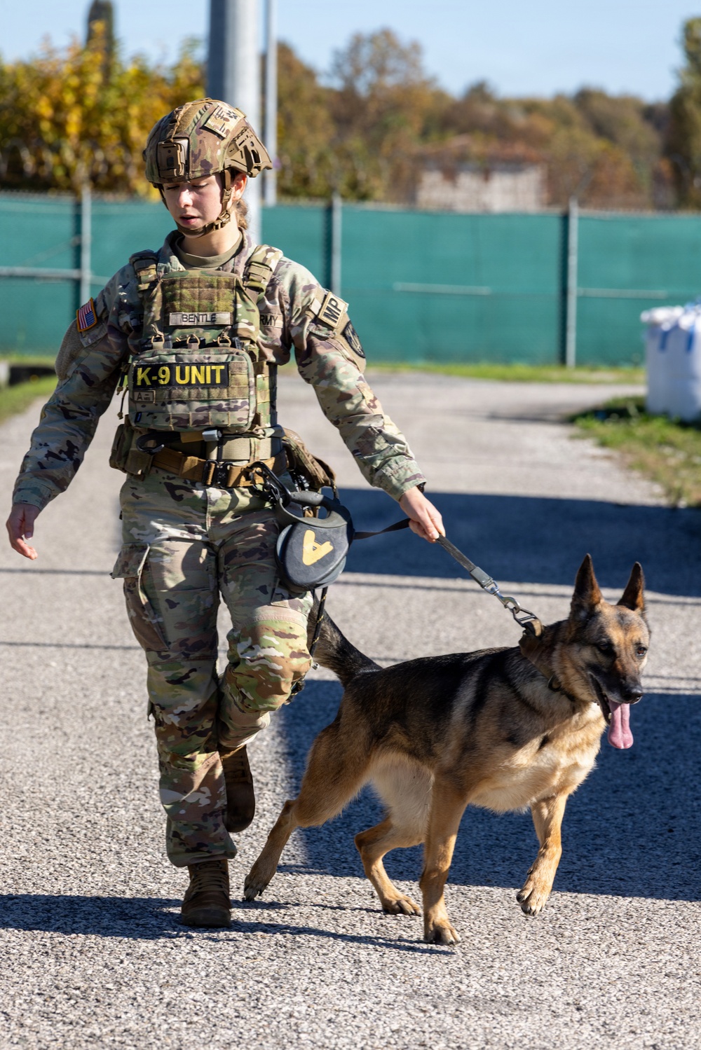 Unleashing potential: military working dogs benefit from new holistic health program