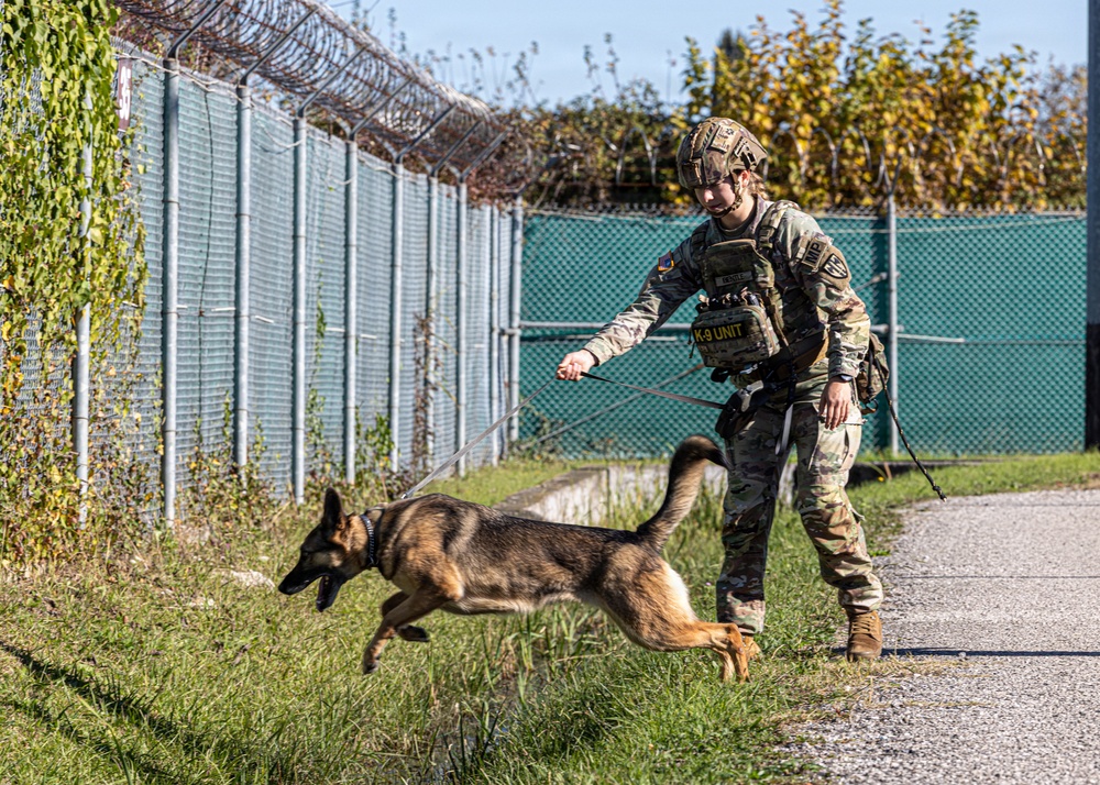 Unleashing potential: military working dogs benefit from new holistic health program