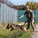 Unleashing potential: military working dogs benefit from new holistic health program