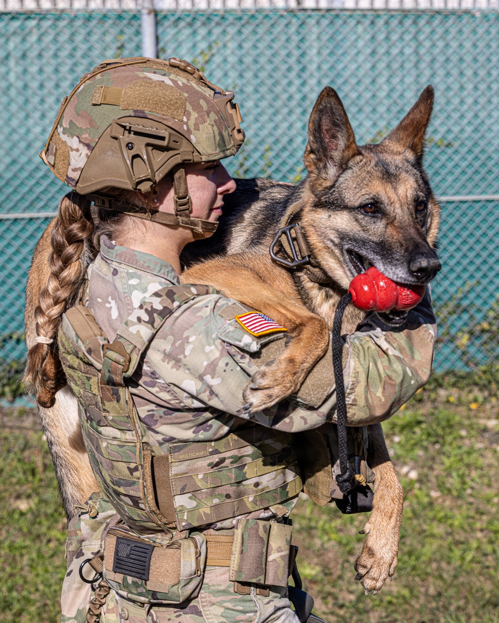 Unleashing potential: military working dogs benefit from new holistic health program