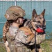 Unleashing potential: military working dogs benefit from new holistic health program