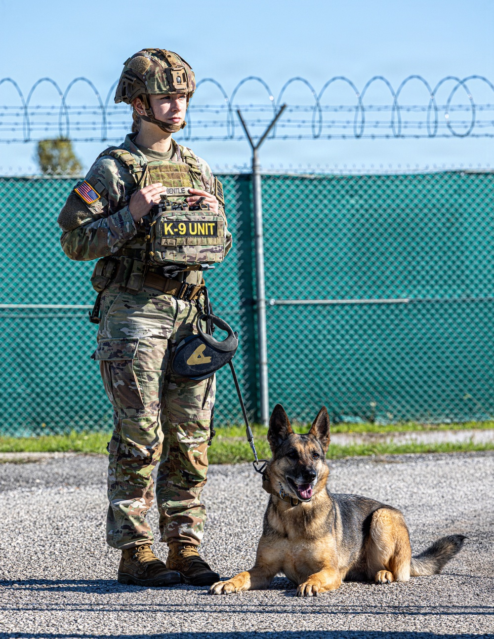 Unleashing potential: military working dogs benefit from new holistic health program