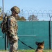 Unleashing potential: military working dogs benefit from new holistic health program