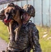 Unleashing potential: military working dogs benefit from new holistic health program