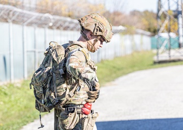 Unleashing potential: military working dogs benefit from new holistic health program