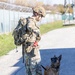 Unleashing potential: military working dogs benefit from new holistic health program