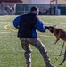 Unleashing potential: military working dogs benefit from new holistic health program