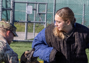 Unleashing potential: military working dogs benefit from new holistic health program