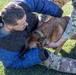 Unleashing potential: military working dogs benefit from new holistic health program