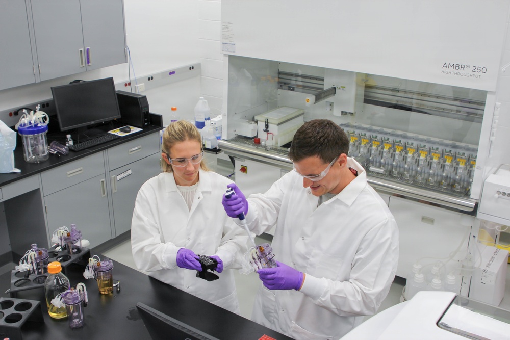 Bio-Optimization Lab