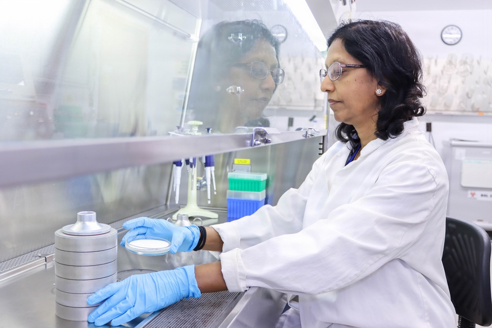 Cascade Impactor Collection Plate