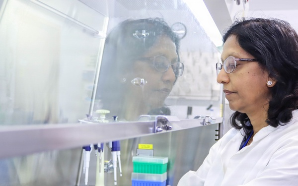 Cascade Impactor Collection Plate