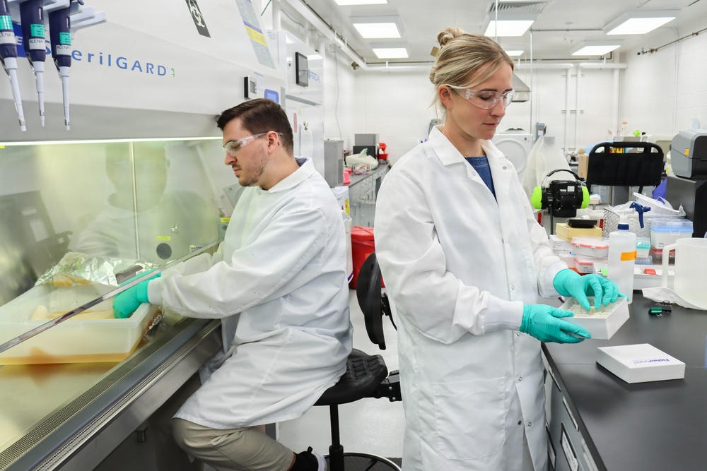 Bacterial Cellulose Production