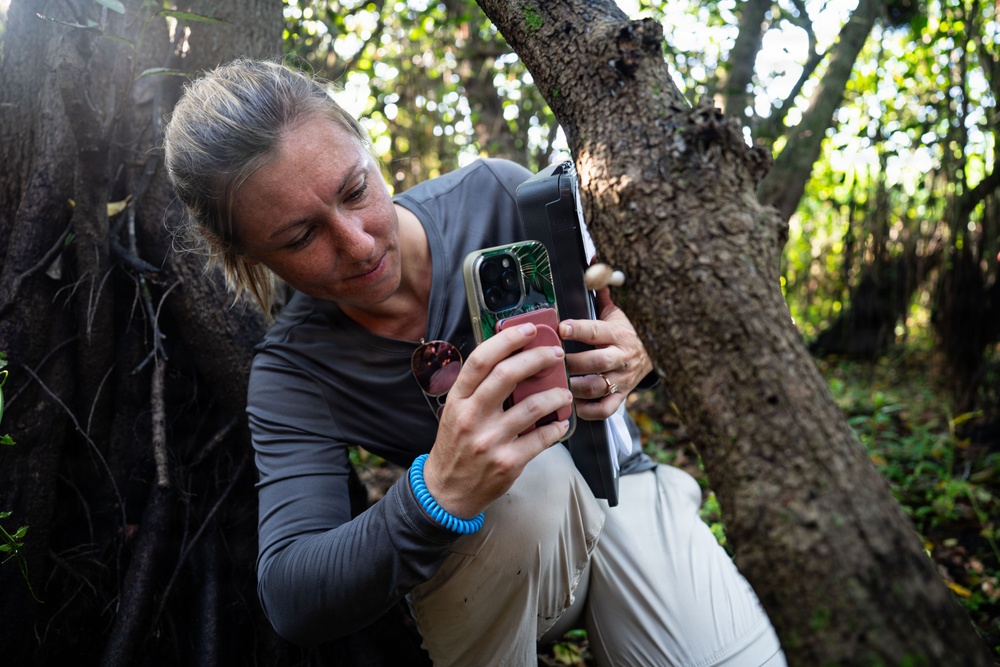 In search of the Okeechobee Gourd
