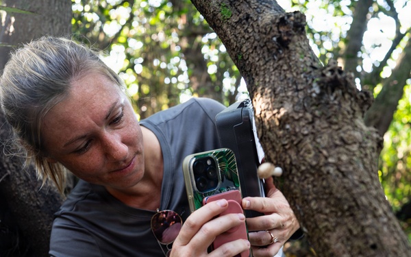 In search of the Okeechobee Gourd