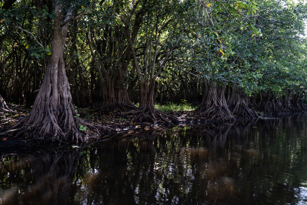 In search of the Okeechobee Gourd