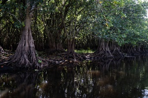 Sasebo Travel & Tours Apple Picking Trip PROMO