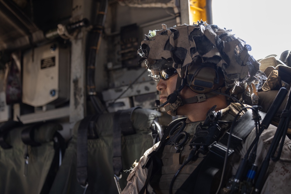 U.S. Marines Execute TRAP Course