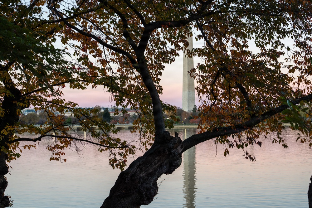 Shadows and Light: The Nation’s Capital at Sunset