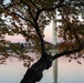 Shadows and Light: The Nation’s Capital at Sunset