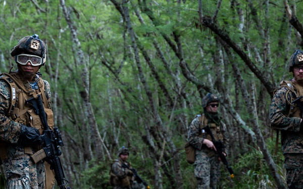 MACS-4 Conducts Squad Patrols at MCTAB