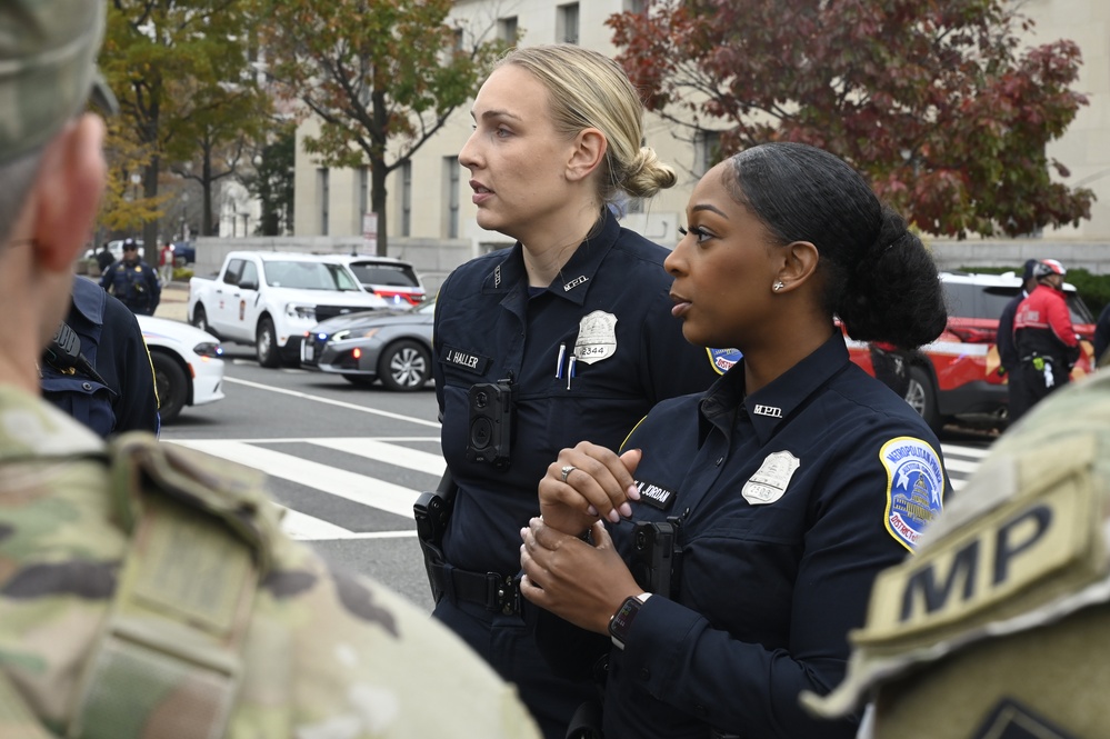 U.S. Soldiers support National Veterans Day Parade